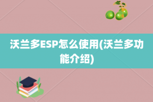 沃兰多ESP怎么使用(沃兰多功能介绍)