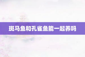 斑马鱼和孔雀鱼能一起养吗
