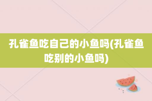 孔雀鱼吃自己的小鱼吗(孔雀鱼吃别的小鱼吗)