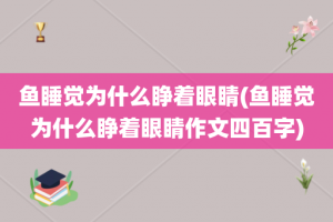 鱼睡觉为什么睁着眼睛(鱼睡觉为什么睁着眼睛作文四百字)