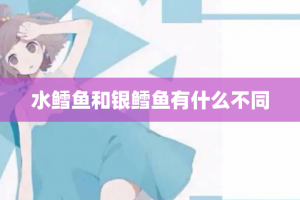 水鳕鱼和银鳕鱼有什么不同