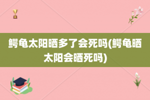 鳄龟太阳晒多了会死吗(鳄龟晒太阳会晒死吗)