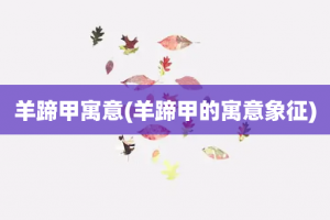 羊蹄甲寓意(羊蹄甲的寓意象征)