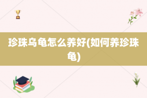 珍珠乌龟怎么养好(如何养珍珠龟)