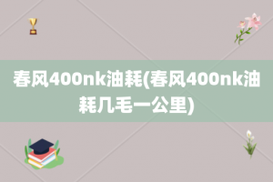 春风400nk油耗(春风400nk油耗几毛一公里)