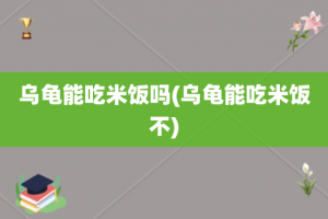 乌龟能吃米饭吗(乌龟能吃米饭不)