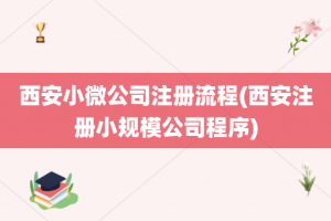 西安小微公司注册流程(西安注册小规模公司程序)