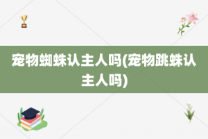 宠物蜘蛛认主人吗(宠物跳蛛认主人吗)