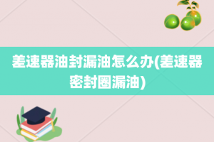 差速器油封漏油怎么办(差速器密封圈漏油)