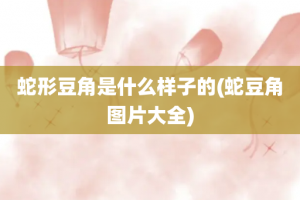 蛇形豆角是什么样子的(蛇豆角图片大全)