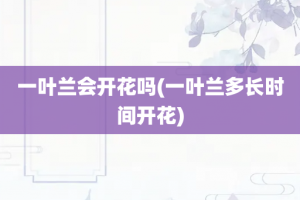一叶兰会开花吗(一叶兰多长时间开花)