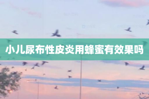 小儿尿布性皮炎用蜂蜜有效果吗