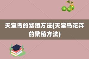 天堂鸟的繁殖方法(天堂鸟花卉的繁殖方法)