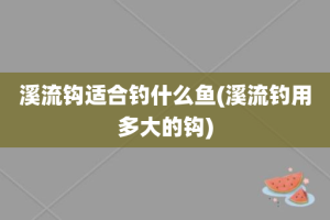 溪流钩适合钓什么鱼(溪流钓用多大的钩)