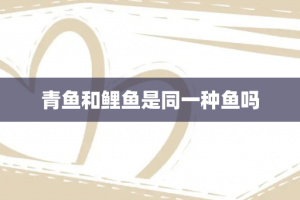 青鱼和鲤鱼是同一种鱼吗