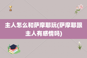 主人怎么和萨摩耶玩(萨摩耶跟主人有感情吗)