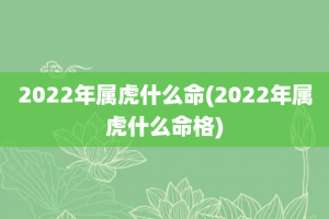 2022年属虎什么命(2022年属虎什么命格)