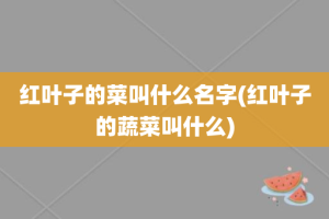 红叶子的菜叫什么名字(红叶子的蔬菜叫什么)