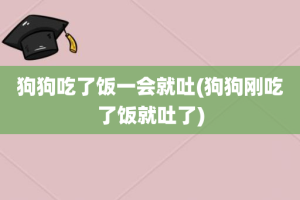 狗狗吃了饭一会就吐(狗狗刚吃了饭就吐了)
