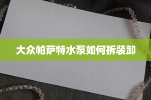 大众帕萨特水泵如何拆装卸