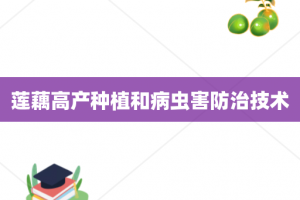 莲藕高产种植和病虫害防治技术