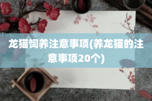 龙猫饲养注意事项(养龙猫的注意事项20个)