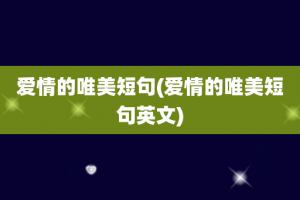 爱情的唯美短句(爱情的唯美短句英文)