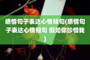 感情句子表达心情短句(感情句子表达心情短句 假如你珍惜我)