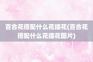 百合花搭配什么花插花(百合花搭配什么花插花图片)