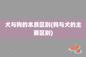 犬与狗的本质区别(狗与犬的主要区别)