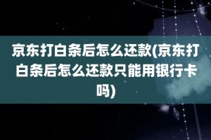 京东打白条后怎么还款(京东打白条后怎么还款只能用银行卡吗)