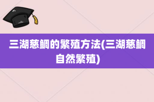 三湖慈鲷的繁殖方法(三湖慈鲷自然繁殖)