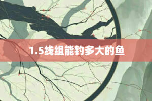 1.5线组能钓多大的鱼