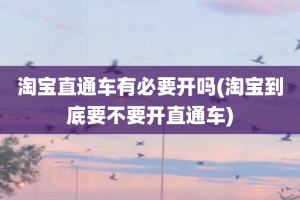 淘宝直通车有必要开吗(淘宝到底要不要开直通车)