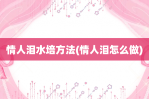 情人泪水培方法(情人泪怎么做)
