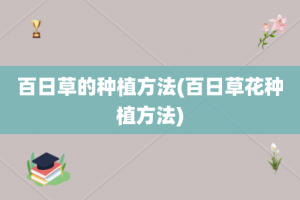 百日草的种植方法(百日草花种植方法)