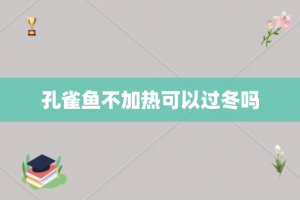 孔雀鱼不加热可以过冬吗