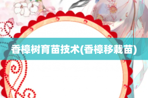 香樟树育苗技术(香樟移栽苗)