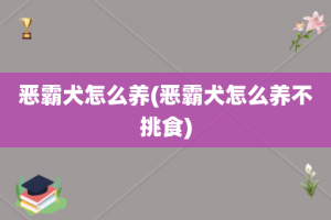 恶霸犬怎么养(恶霸犬怎么养不挑食)