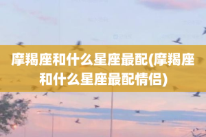 摩羯座和什么星座最配(摩羯座和什么星座最配情侣)