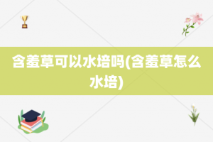 含羞草可以水培吗(含羞草怎么水培)