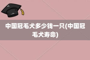 中国冠毛犬多少钱一只(中国冠毛犬寿命)
