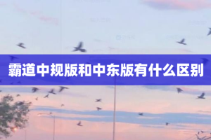 霸道中规版和中东版有什么区别