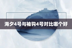 海夕4号与袖钩4号对比哪个好