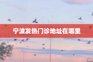 宁波发热门诊地址在哪里