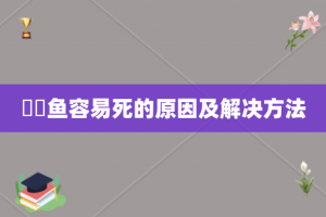 鳑鲏鱼容易死的原因及解决方法
