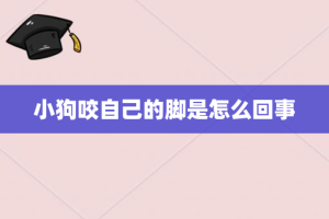 小狗咬自己的脚是怎么回事