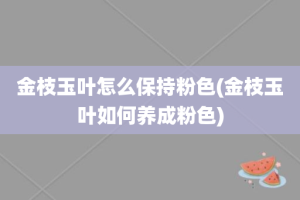 金枝玉叶怎么保持粉色(金枝玉叶如何养成粉色)