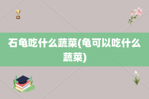 石龟吃什么蔬菜(龟可以吃什么蔬菜)