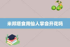 米邦塔食用仙人掌会开花吗